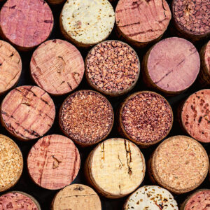 Holiday Wine Tasting - GROUP A ENTER THROUGH MAIN ENTRANCE